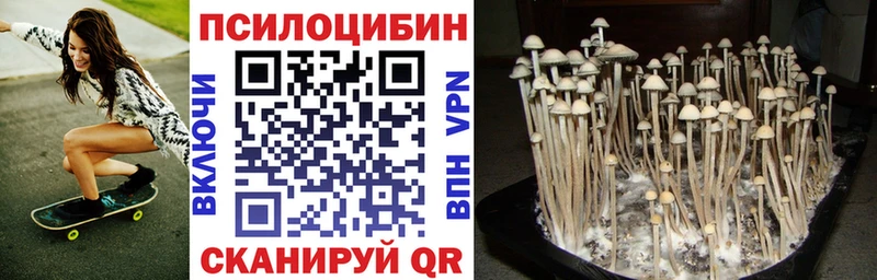 Галлюциногенные грибы Psilocybine cubensis  MEGA   Сухой Лог 